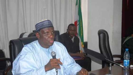 2019: Like MKO, SDP will take Nigeria by storm - Jerry Gana