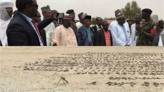 Hotunan taron lalata dubban bindigogi a jihar Zamfara