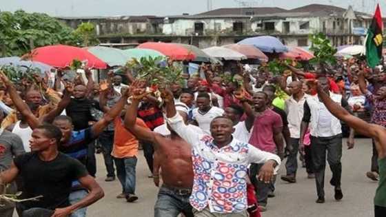 EXPOSED: Biafra Makes Secret Moves To Form A Government