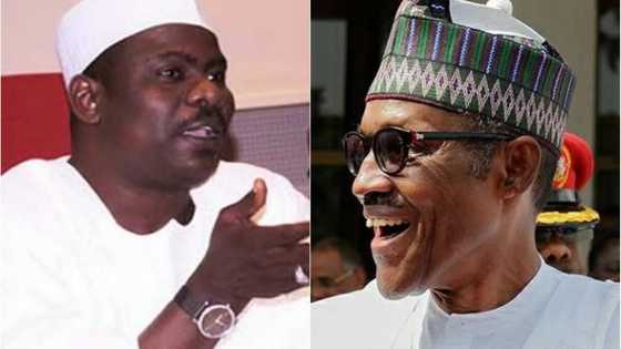 Maganar tsige Buhari tun farkonta ta mutu - Ndume