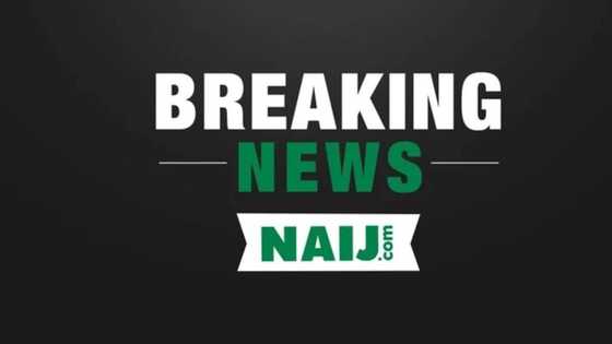 BREAKING: Soldiers caught in bomb explosion in Borno