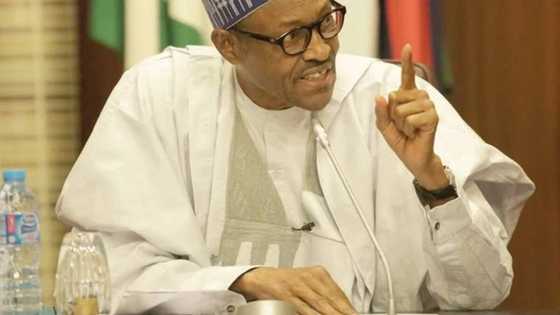 Shugaba Buhari ya bugi 'Kirji kan Zaben 2019