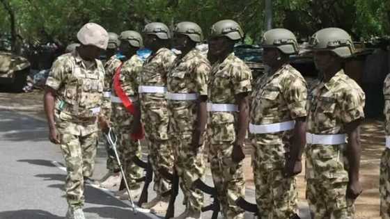 Operation Python Dance, 10 other military operations taking place in Nigeria