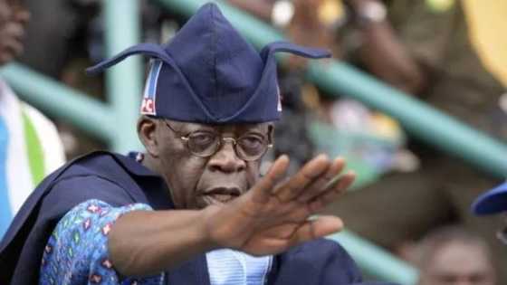 Shugabancin 2023: Jagoran kungiyar yakin neman zaben Tinubu na kasa ya ajiye aiki