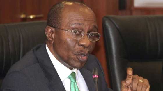 2023: CSOs tell Emefiele to leave CBN and focus on politics