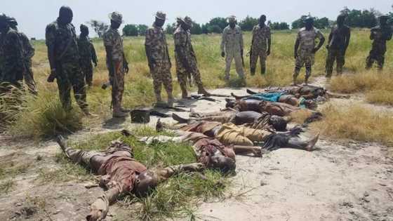 123 terrorists killed in anti-Boko Haram operations