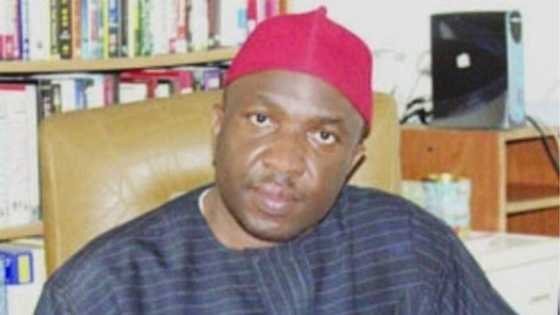 "We Don't Have Presidential Candidate," ADC National Chairman Warns Ahead of Polls