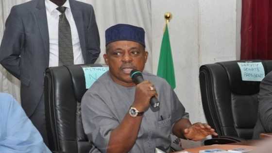 APC senators, presidency have concluded plans to forcefully remove Saraki and Ekweremadu - PDP alleges