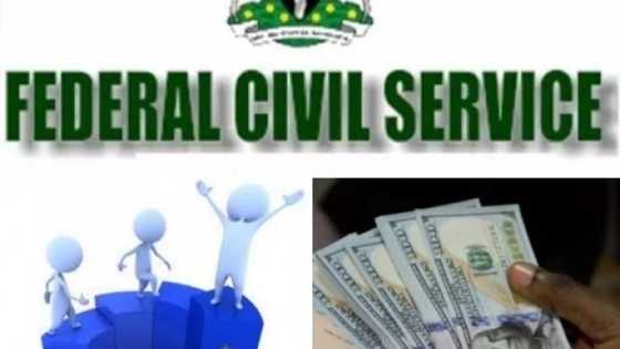 Civil Service grades and salaries in Nigeria