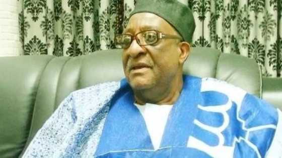 Rayuwata na cikin hadari don naki cewa a baiwa Atiku tikitin 2023 - Shugaban dattawan PDP, Walid Jibrin