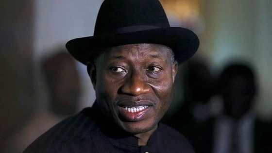 Kada ka fito takara: Tsaffin ministoci da masoya sun gargadi Goodluck Jonathan