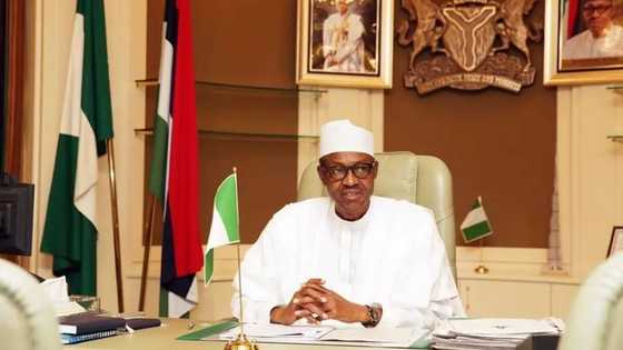 BREAKING: FEC meeting canceled as President Buhari receives SGF, NIA probe report