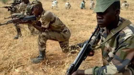 An damke mata biyu cikin 'yan bindigan da suka addabi Zamfara