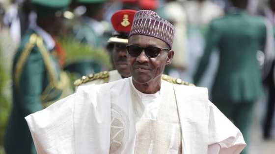 Buhari To Unveil Similar Scheme As NYSC? You Need To Read This