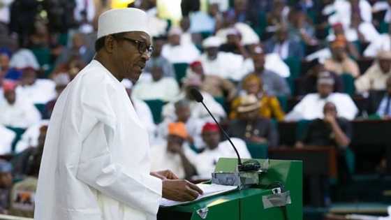 NASS leadership: Buhari will not allow the lawlessness that happened in 2015 to repeat itself - Presidency