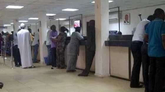 Nigerian banks loans to customers hit N2 trillion. Here is what banks charge you for borrowing in 2022