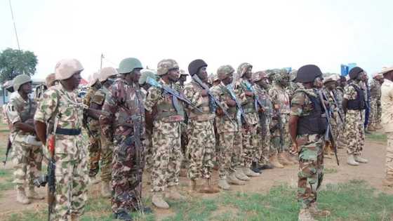 Boko Haram: Nigerian Army Re-Engages 2,500 Combatants