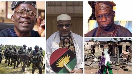 Operation Python Dance: OBJ is a hypocrite; he should apologize for military invasions in ‘Odi’, ‘Zaki Biam’ - Falana blows hot