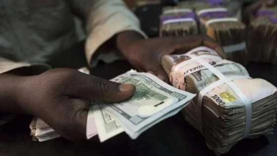 Buy at N410, then sell at N460 or above. Banks are Profiting from Nigerians in the Foreign Exchange Market