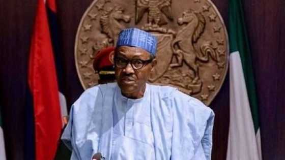 Shugaba Buhari zai bude katafaren sabon kamfanin giya a jihar Ogun