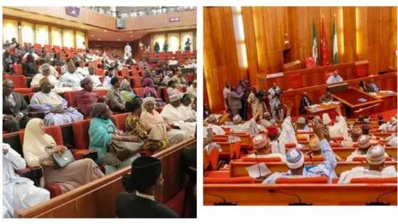 JUST IN: Senate confirms Buhari’s letter, says president wants indefinite extension of medical vacation