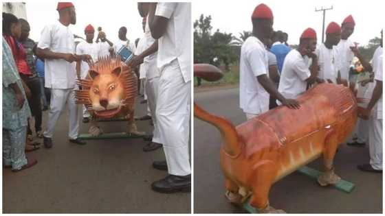 Enugu rich man buried in custom-made coffin that looks like lion with fanfare (photos)