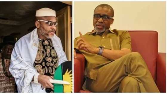 Just in: Produce Nnamdi Kanu now - Court orders Senator Abaribe