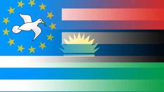 Unbelievable! Read how Biafra may achieve independence with the help of Cameroon