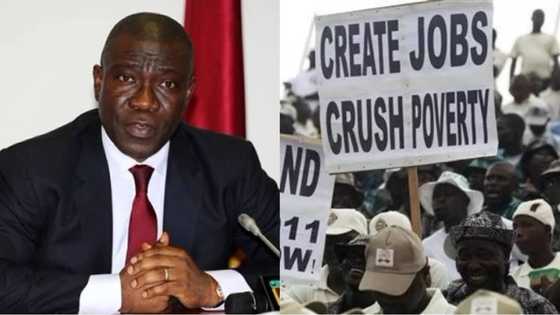 We’ll make Nigeria work again - Ike Ekweremadu vows