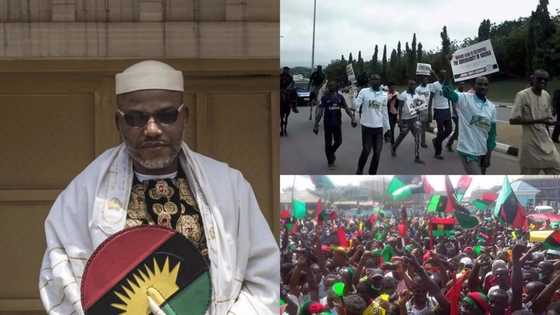 Arewa youth threatens to shutdown Nigeria if IPOB’s Nnamdi Kanu is not rearrested