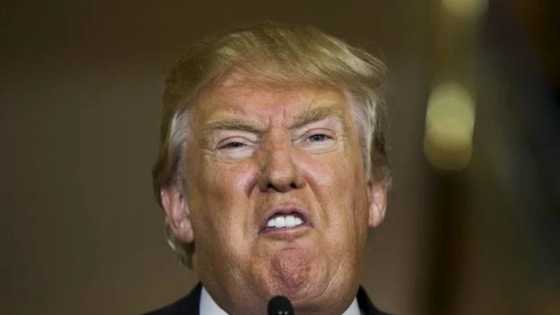 Ya yi amai ya lashe: Amurka na matukar girmama nahiyar Afirka - Donald Trump