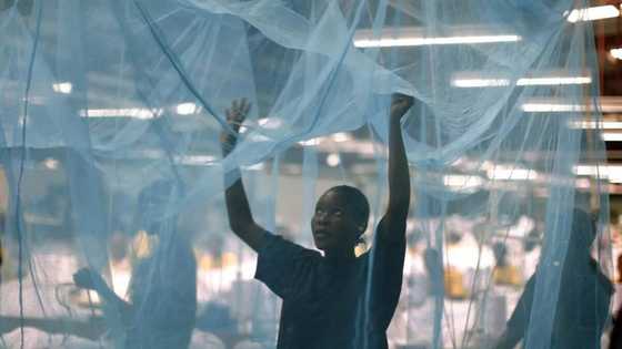 We never advocated $200M loan for malaria net, NPHCDA says