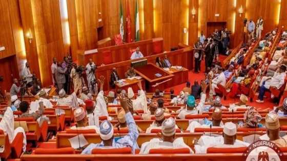 Vote me and get this - Senate president aspirant woos PDP colleagues with multi-million naira projects