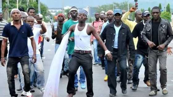 Concerned Niger Deltans cautions against sponsored attack on presidential amnesty boss