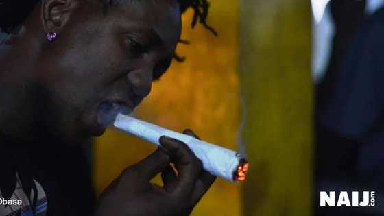 Shan Wiwi na iya haifar da matsala ga kwakwalwan dan Adam, Sabon Bincike