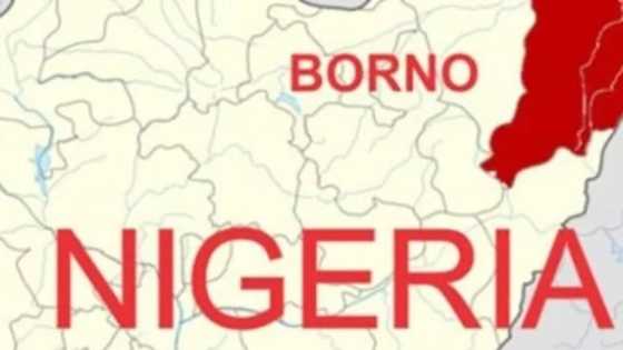 Boko Haram: 'Yan ta'adda sun yi garkuwa da ma'aikatan walwala 3 da soja 1