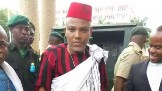 Biafra agitation: Nigerians react to Kwankwaso's message to Nnamdi Kanu