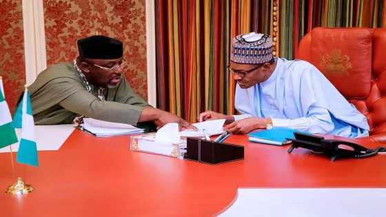 2023: Mutumin da Shugaba Buhari ke son ya gaje shi zai ba kowa mamaki, Sanatan dake son takara