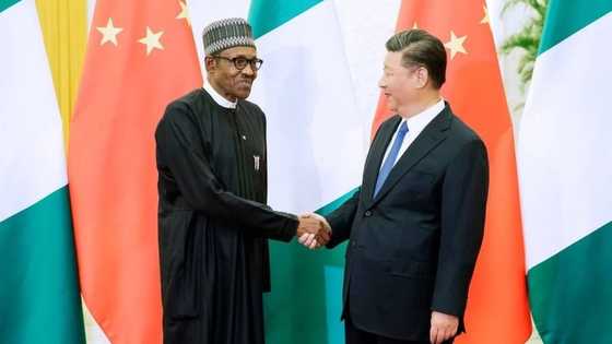 Abin da na fada wa shugaban China kan tashar lantarki ta Mambila - shugaba Muhammadu