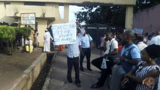 JUST IN: Hundreds of workers take over FMC in Ondo over 18-months salary arrears