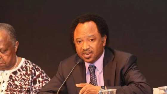 Shehu Sani criticises list of invitees for MKO Abiola’s GCFR award