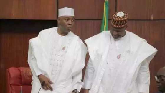 Analyst raises alarm, says National Assembly may sabotage Not Too Young To Run bill