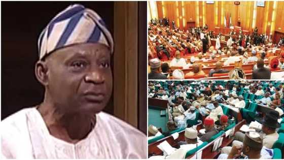 Ex senator blasts lawmakers over alteration of 2018 budget, says NASS members are the most corrupt people in Nigeria