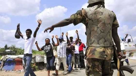 Concerns over alleged human rights abuses in Nigerian army's Exercise Cat Race