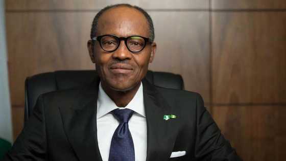 11 Devils Buhari Must Battle From Now Till 2019