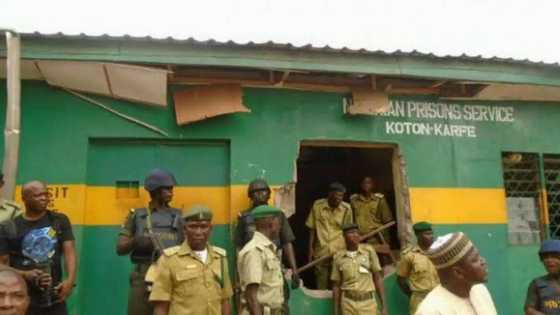 "Any prison officer that cannot shoot to kill should be replaced," FG says