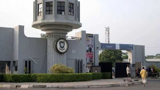 Me yayi zafi: Jami’ar Ibadan zata kori dalibai 328