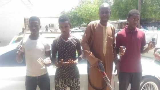 Yansanda sun kamo wasu gungun gagga gaggan yan fashi da makami a jihar Kano (Hoto)