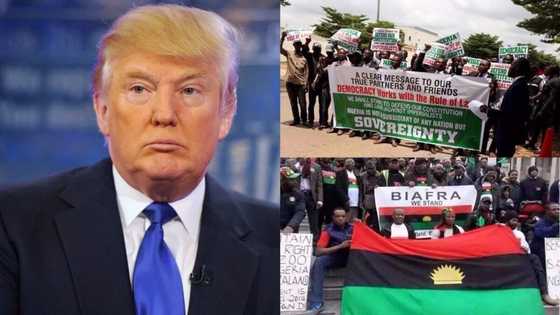 Withdraw your support for IPOB within 72 hours - Lawyers, others tell US as they march to Embassy (photos)