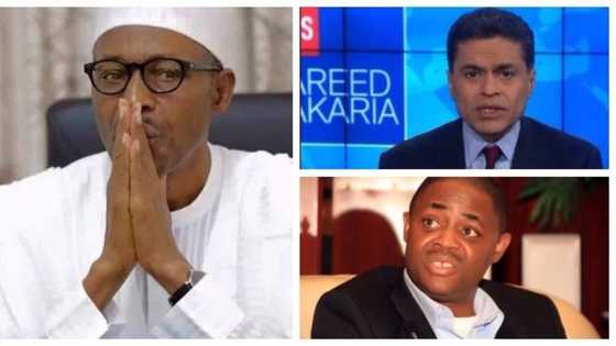 CNN post: Fani-Kayode goes wild, calls Buhari a beast
